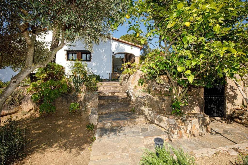 Villa Boheme Costa Brava Calonge  Exterior foto